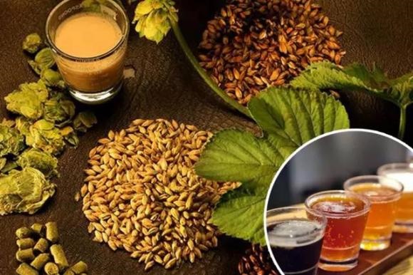 精釀啤酒--山東豪魯啤酒設(shè)備 精釀啤酒--山東豪魯啤酒設(shè)備